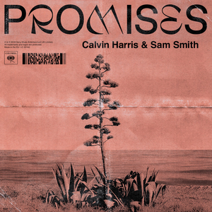 Calvin Harris & Sam Smith – Promises