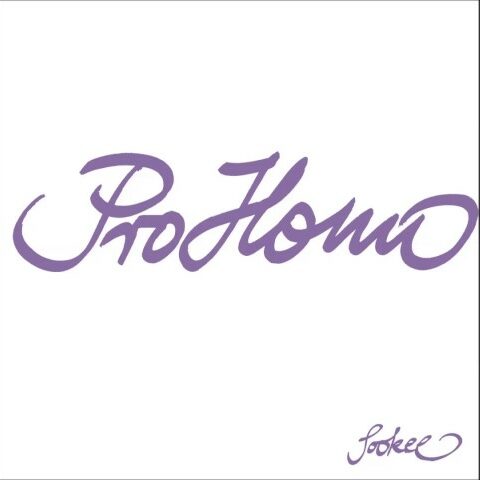 Sookee und Tapete – Pro homo